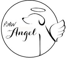 dog-microchipping-pregnancy-breeding-puppies-staffordshire