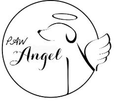 dog mobile-service-ultrasound scanning-new born puppies