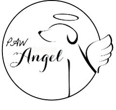 dog scanning-confirm pregnancy-ultrsound