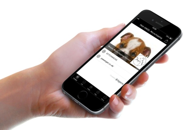 dog services cannock, pet services walsall, dog grooming cannock