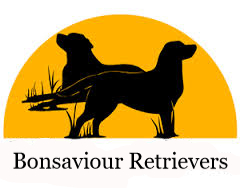 Bonsaviour Retrievers
