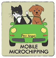 mobile dog cat microchipping we travel to you, microchip puppies, kitten microchipping.,