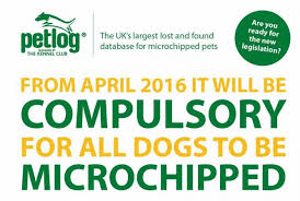 cheap puppy microchipping cannock, walsall, stafford, wolverhampton, birmingham, telford, tamworth, uttoxeter